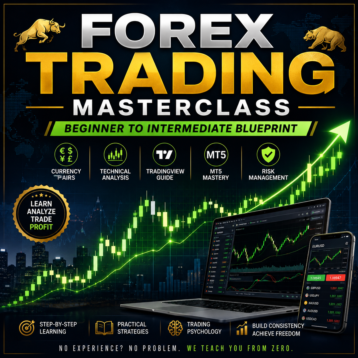 Forex Trading Masterclass: Beginner to Intermediate Blueprint